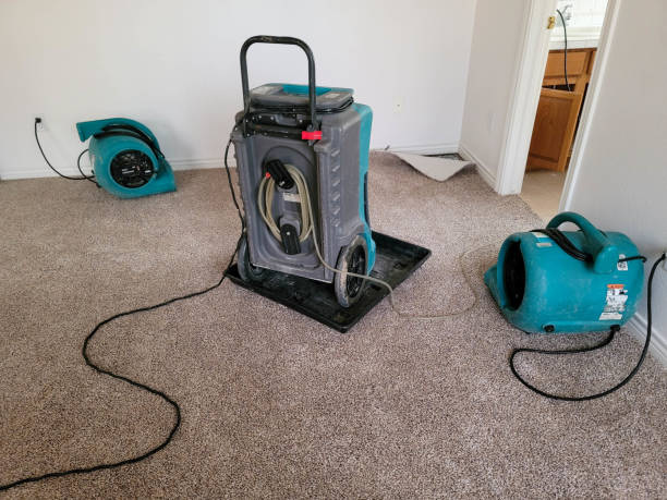 Best Basement water damage restoration  in Garden Acres, CA
