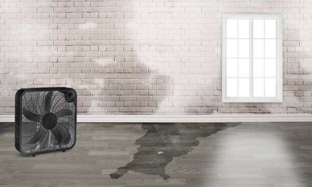 Best Sewage cleanup and water damage restoration  in Garden Acres, CA