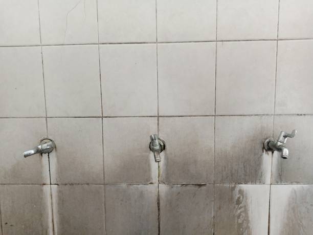 Best Flooded house restoration  in Garden Acres, CA