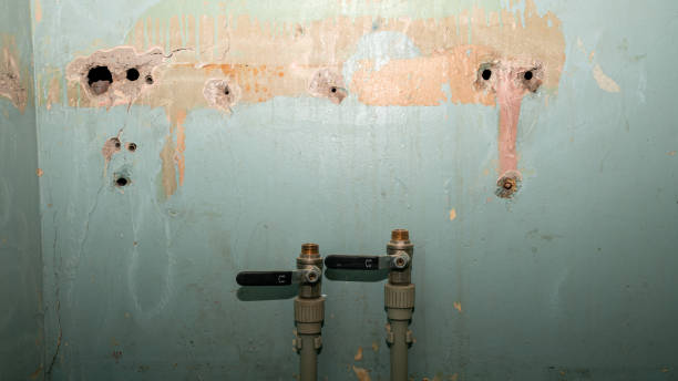 Best Professional water damage repair  in Garden Acres, CA